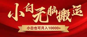 无脑搬运视频，全新平台独占玩法，一个账号每天1000+，多账号轻松扩张！倾城领域-倾城领域