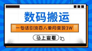仅靠一句话引流百人变现3万？倾城领域-倾城领域