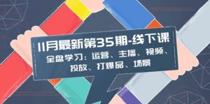 11月最新-35期-线下课：全盘学习：运营、主播、视频、投放、打爆品、场景倾城领域-倾城领域