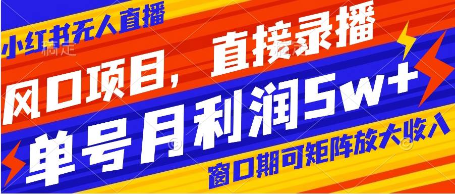 风口项目，小红书无人直播带货，直接录播，可矩阵，月入5w+倾城领域-倾城领域