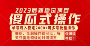 傻瓜式无脑项目 单号月入稳定2000+ 可多号批量操作 多多视频搬砖全新玩法倾城领域-倾城领域