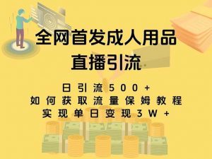 最新全网独创首发，成人用品直播引流获客暴力玩法，单日变现3w保姆级教程倾城领域-倾城领域