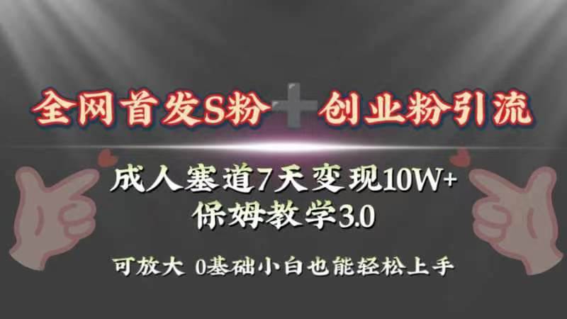 全网首发s粉加创业粉引流变现，成人用品赛道7天变现10w+保姆教学3.0倾城领域-倾城领域