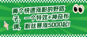 两个快速涨粉的野路子，一个特效+神奇布偶，粉丝暴涨5000起！倾城领域-倾城领域