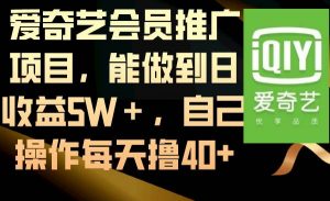 爱奇艺会员推广项目，能做到日收益5W＋，自己操作每天撸40+倾城领域-倾城领域