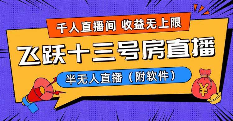 爆火飞跃十三号房半无人直播，一场直播上千人，日入过万！（附软件）倾城领域-倾城领域