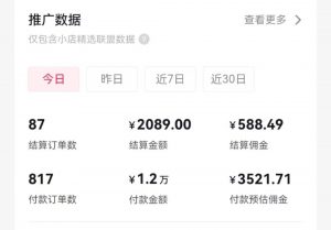 过年新风口 用ai春联图文  日入600+  小白轻松上手倾城领域-倾城领域