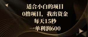 适合小白的项目，0撸项目，我出资金，每天15秒，一单利润600倾城领域-倾城领域
