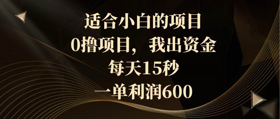 适合小白的项目，0撸项目，我出资金，每天15秒，一单利润600倾城领域-倾城领域