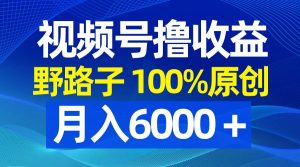 视频号野路子撸收益，100%原创，条条爆款，月入6000＋倾城领域-倾城领域