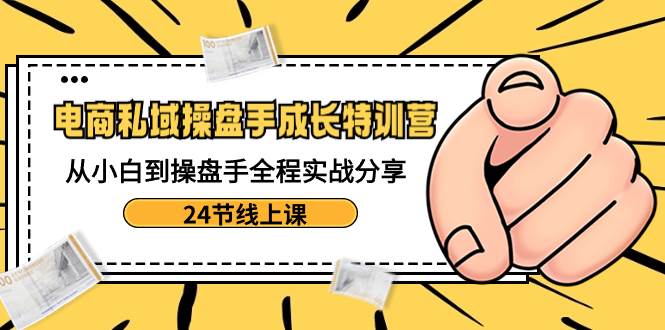 电商私域-操盘手成长特训营：从小白到操盘手全程实战分享-24节线上课倾城领域-倾城领域