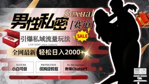 全网最新男性私密赛道玩法，引爆私域流量，轻松日入2000+倾城领域-倾城领域