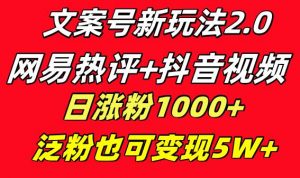 文案号新玩法 网易热评+抖音文案 一天涨粉1000+ 多种变现模式 泛粉也可变现倾城领域-倾城领域