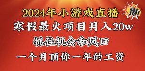2024年寒假爆火项目，小游戏直播月入20w+，学会了之后你将翻身倾城领域-倾城领域