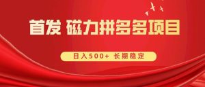 首发 磁力拼多多自撸  日入500+倾城领域-倾城领域