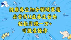 健康养生细分领域赛道，卖音药U盘养生音乐，轻松月赚一万+，可批量操作倾城领域-倾城领域