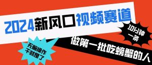 2024新风口视频赛道 做第一批吃螃蟹的人 10分钟一条原创视频 小白无脑操作1倾城领域-倾城领域