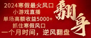 2024年最火寒假风口项目 小游戏直播 单场收益5000+抓住风口 一个月直接提车倾城领域-倾城领域