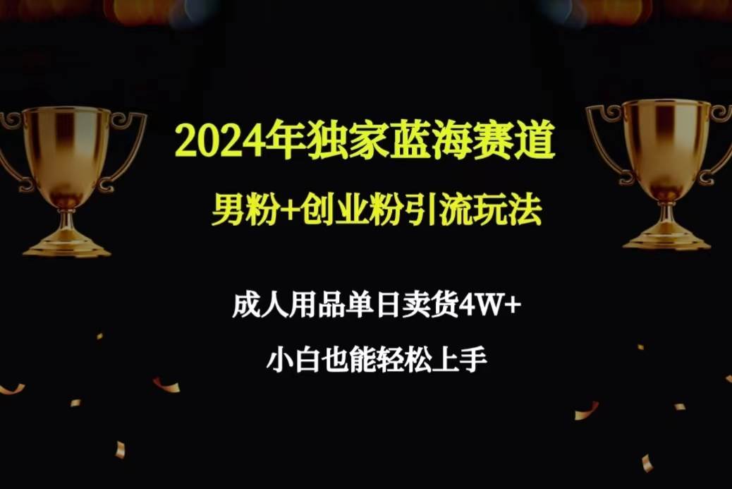 2024年独家蓝海赛道男粉+创业粉引流玩法，成人用品单日卖货4W+保姆教程倾城领域-倾城领域