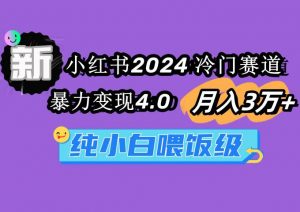 小红书2024冷门赛道 月入3万+ 暴力变现4.0 纯小白喂饭级倾城领域-倾城领域
