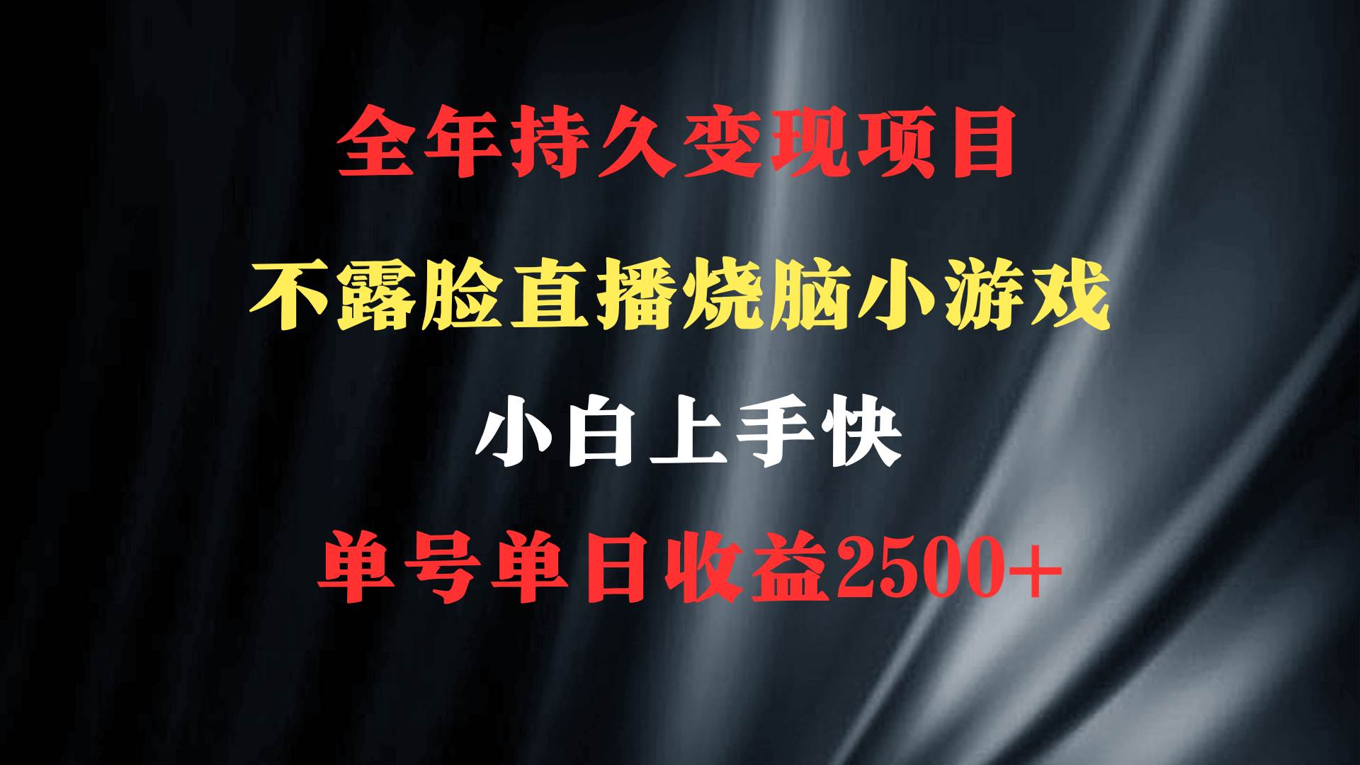2024年 最优项目，烧脑小游戏不露脸直播  小白上手快 无门槛 一天收益2500+倾城领域-倾城领域