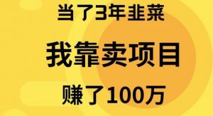 当了3年韭菜，我靠卖项目赚了100万倾城领域-倾城领域