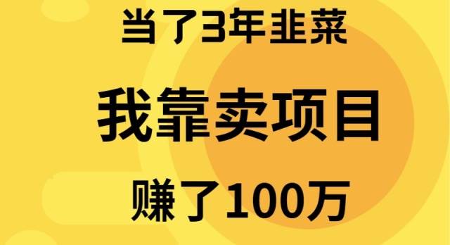 当了3年韭菜，我靠卖项目赚了100万倾城领域-倾城领域
