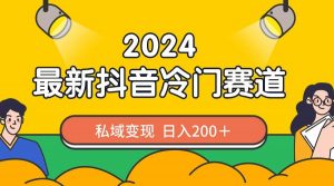 2024抖音最新冷门赛道，私域变现轻松日入200＋，作品制作简单，流量爆炸倾城领域-倾城领域