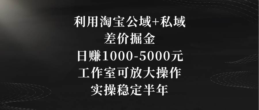 利用淘宝公域+私域差价掘金，日赚1000-5000元，工作室可放大操作，实操…倾城领域-倾城领域