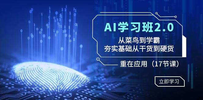 AI学习班2.0：从菜鸟到学霸，夯实基础从干货到硬货，重在应用（17节课）倾城领域-倾城领域