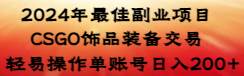 2024年最佳副业项目 CSGO饰品装备交易 轻易操作单账号日入200+倾城领域-倾城领域