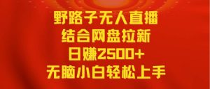 无人直播野路子结合网盘拉新，日赚2500+多平台变现，小白无脑轻松上手操作倾城领域-倾城领域