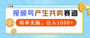 2024年视频号，产生共鸣赛道，简单无脑，一分钟一条视频，日入1000+倾城领域-倾城领域