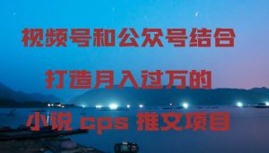 视频号和公众号结合打造月入过万的小说cps推文项目倾城领域-倾城领域
