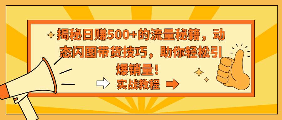 揭秘日赚500+的流量秘籍，动态闪图带货技巧，助你轻松引爆销量！倾城领域-倾城领域