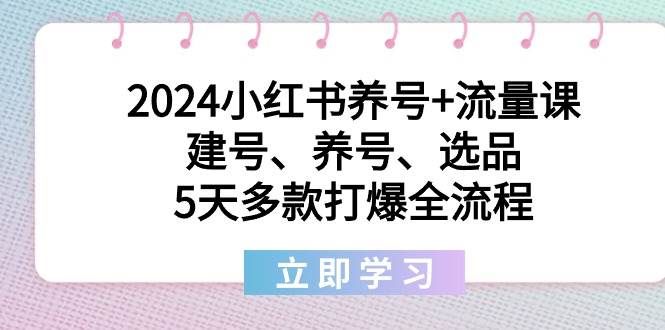 2024小红书养号+流量课：建号、养号、选品，5天多款打爆全流程倾城领域-倾城领域