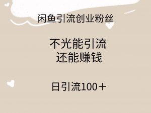 闲鱼精准引流创业粉丝，日引流100＋，引流过程还能赚钱倾城领域-倾城领域