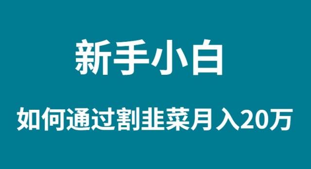 新手小白如何通过割韭菜月入 20W倾城领域-倾城领域