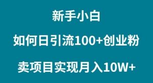 新手小白如何通过卖项目实现月入10W+倾城领域-倾城领域