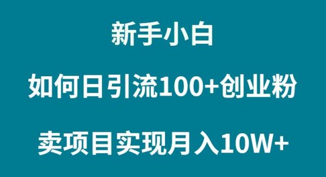 新手小白如何通过卖项目实现月入10W+倾城领域-倾城领域