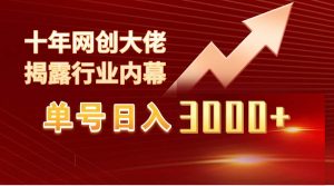 单号日入3000+，工作室内部无脑美女视频玩法，100%过原创倾城领域-倾城领域