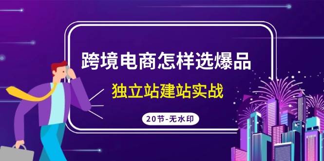 跨境电商怎样选爆品，独立站建站实战（20节高清无水印课）倾城领域-倾城领域