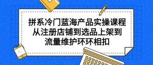拼系冷门蓝海产品实操课程，从注册店铺到选品上架到流量维护环环相扣倾城领域-倾城领域