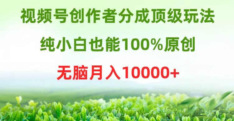 视频号创作者分成顶级玩法，纯小白也能100%原创，无脑月入10000+倾城领域-倾城领域