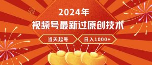 2024年视频号最新过原创技术，当天起号，收入稳定，日入1000+倾城领域-倾城领域