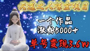 天选之人炼金项目，一个作品涨粉5000+，单号变现3.6w倾城领域-倾城领域