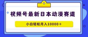 视频号日本动漫蓝海赛道，100%原创，小白轻松月入10000＋倾城领域-倾城领域