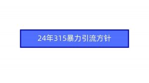 2024年315暴力引流方针倾城领域-倾城领域