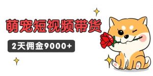 东哲日记·萌宠短视频带货，2天佣金9000+倾城领域-倾城领域