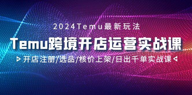 2024Temu跨境开店运营实战课,开店注册/选品/核价上架/日出千单实战课倾城领域-倾城领域